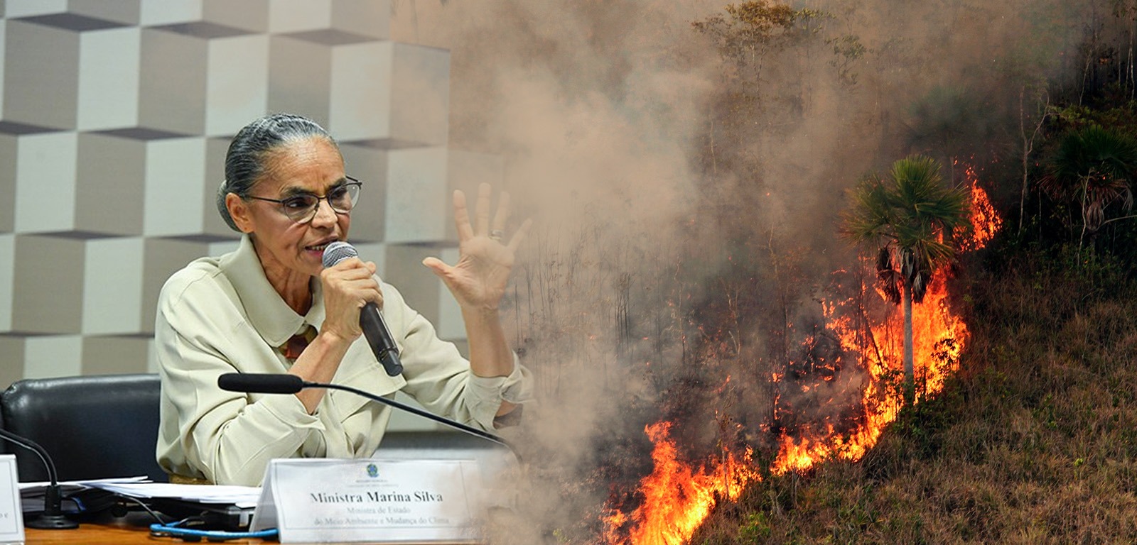 Pantanal pode desaparecer se crise climática não for revertida, diz Marina