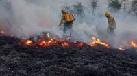 Brasil autoriza envio de bombeiros para combater incêndios florestais na Bolívia