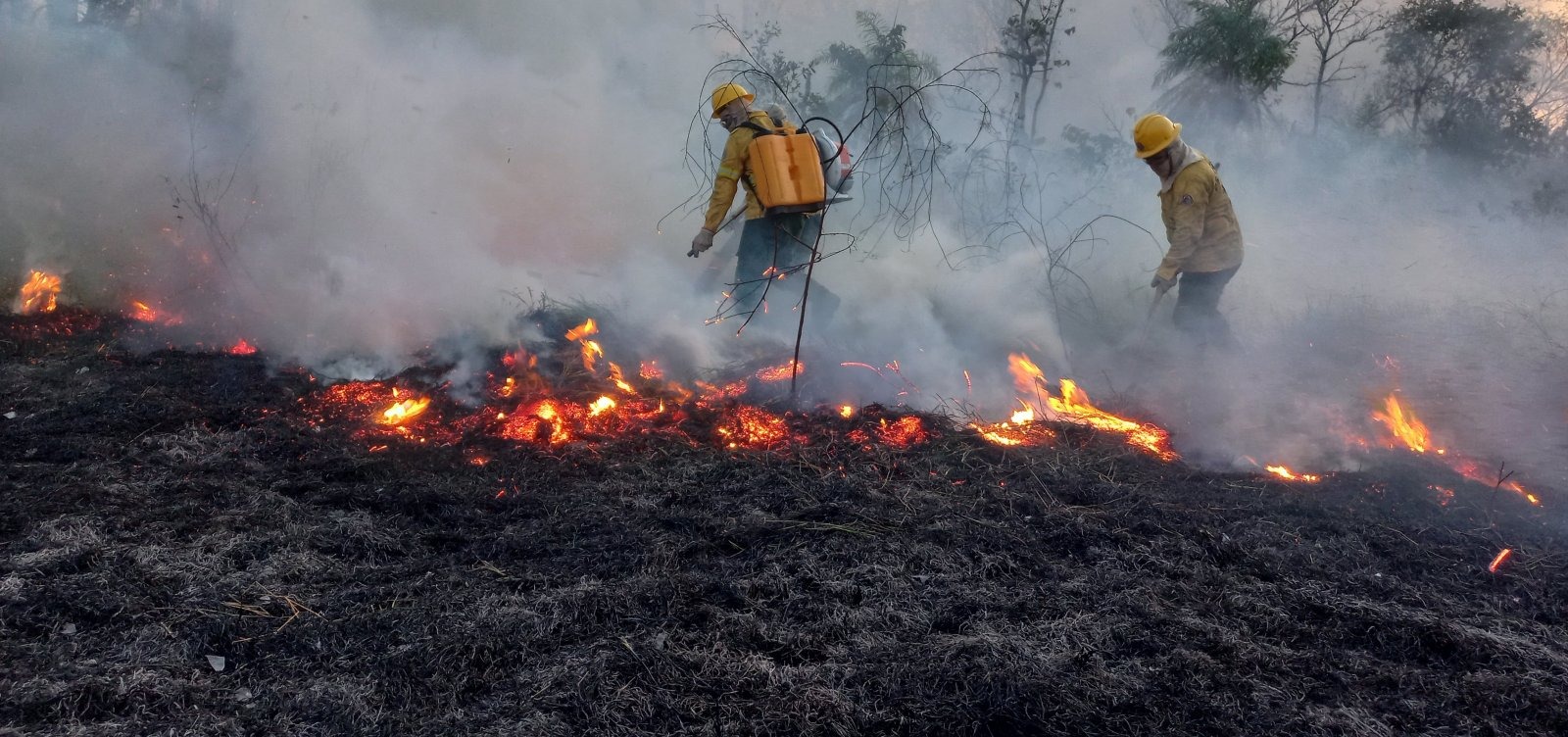 Brasil autoriza envio de bombeiros para combater incêndios florestais na Bolívia