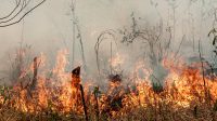 Em 24 horas, Brasil registra 2,7 mil focos de incêndios, aponta monitoramento