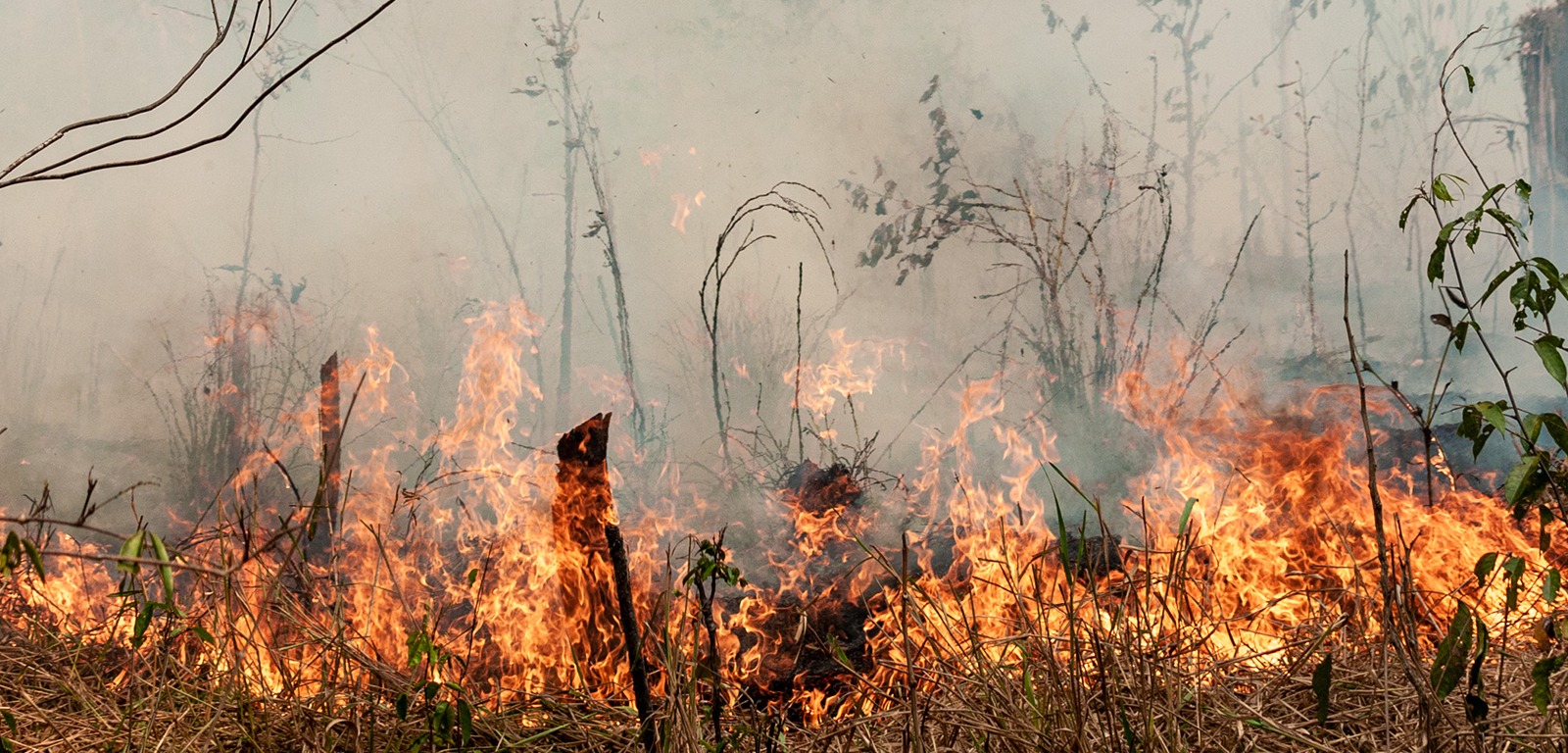 Em 24 horas, Brasil registra 2,7 mil focos de incêndios, aponta monitoramento