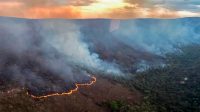 Incêndio queima 10 mil hectares do Parque da Chapada dos Veadeiros