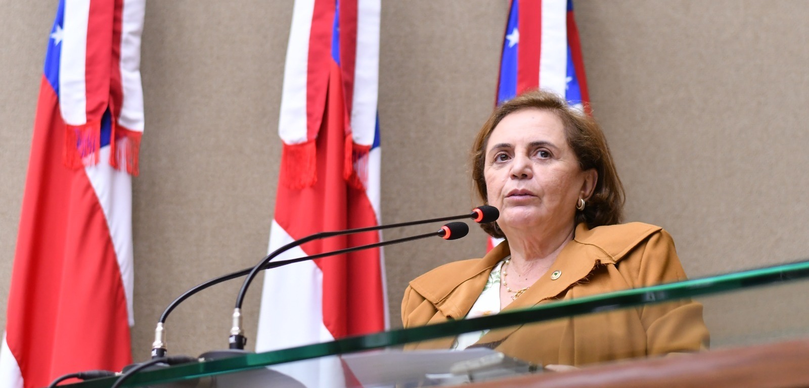 Professora Therezinha Ruiz alerta para prevenção ao suicídio