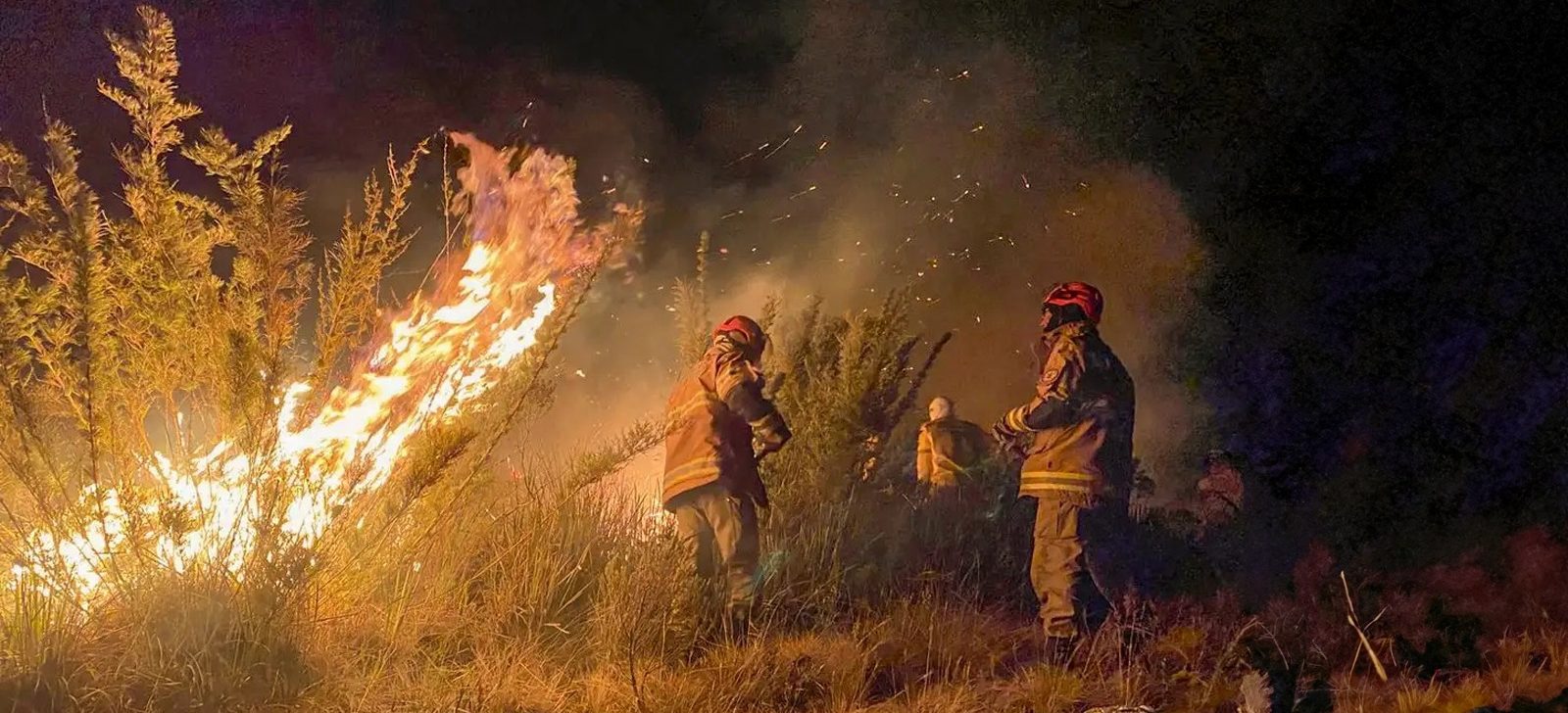 Mais de 20 suspeitos são investigados por incêndios florestais no RJ