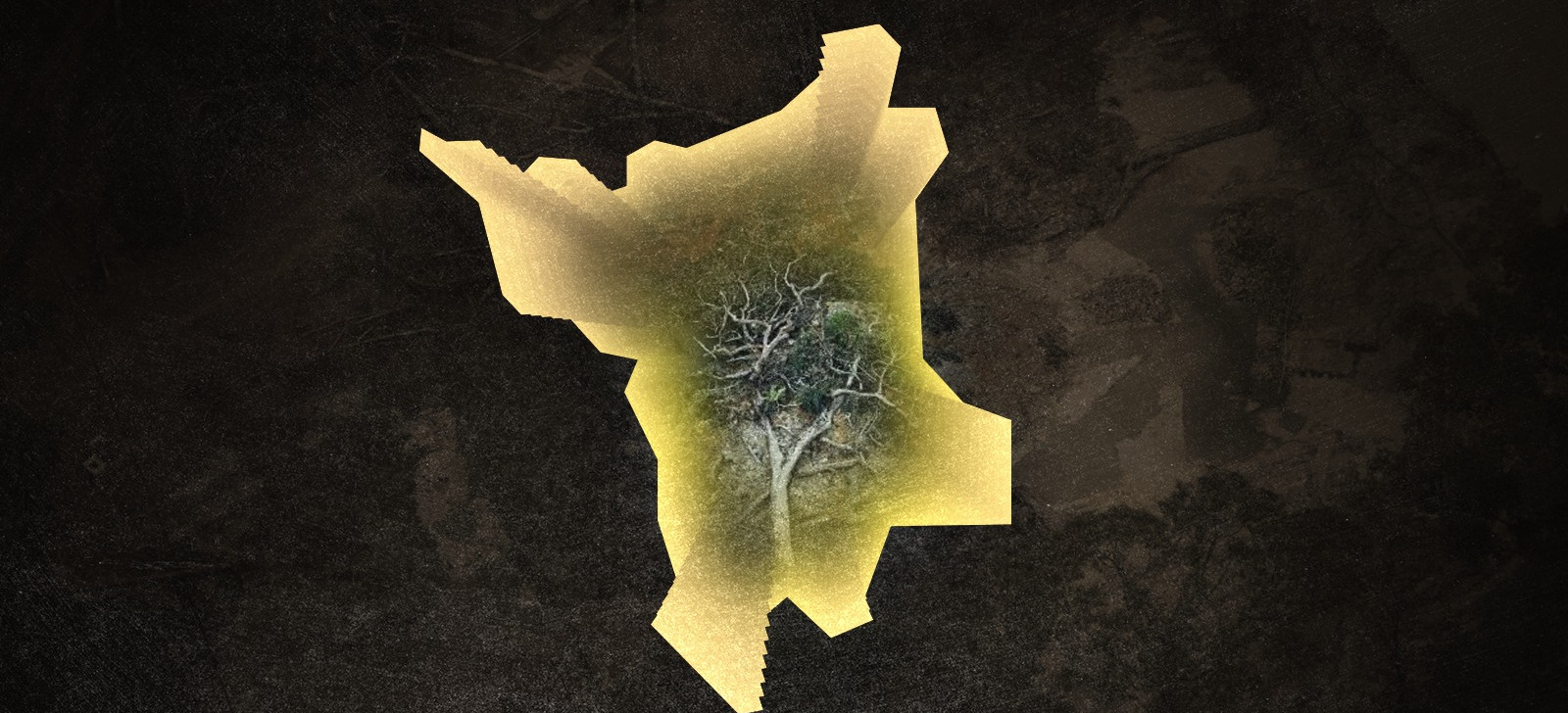 Lideranças Indígenas cobram ação ‘efetiva’ para combater garimpeiros e invasores