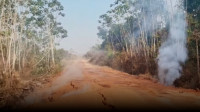 Fumaça e fogo subterrâneo afetam estrada em área indígena no Pará