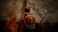 Maioria de incêndios no Brasil têm origem humana, dizem cientistas