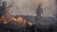 Focos de incêndio no Brasil aumentam 76% em relação a 2023