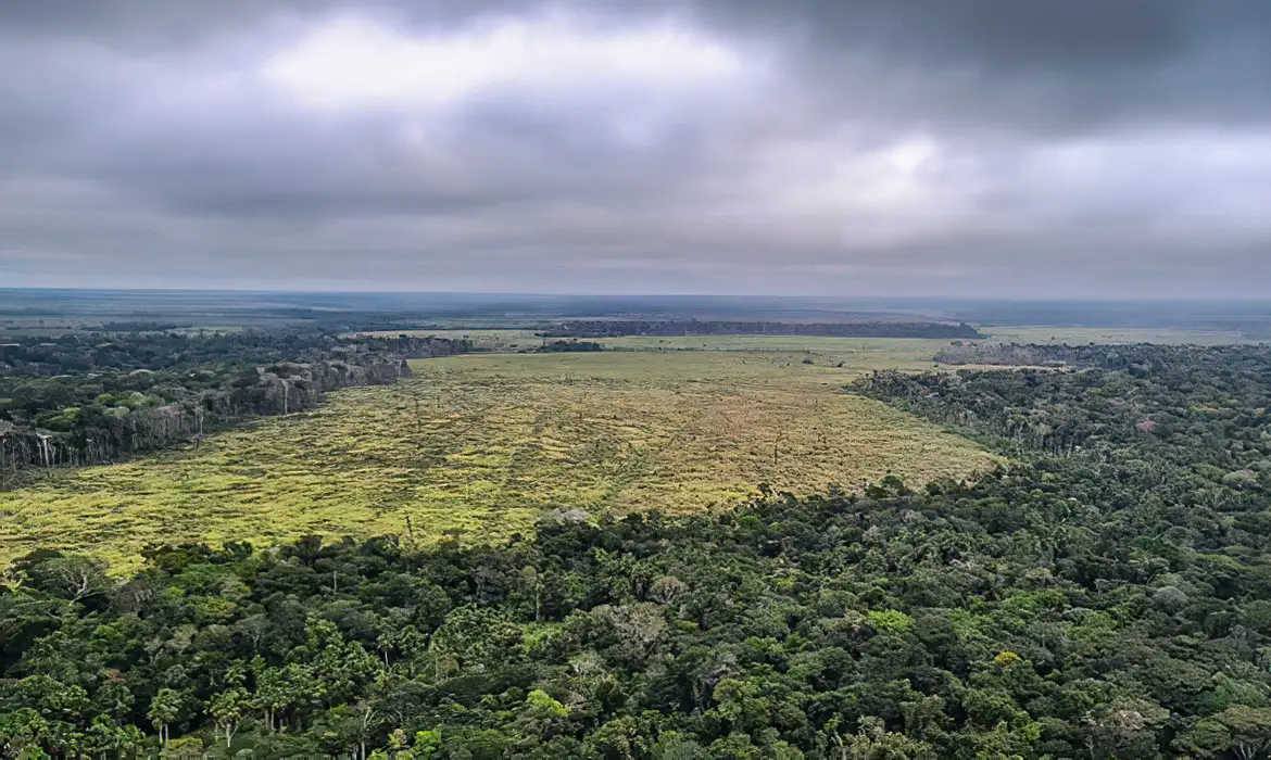 Degradação florestal na Amazônia Legal bate recorde em setembro