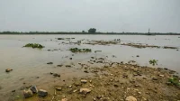 Rio Paraguai registra seu nível mais baixo em ano de seca no Pantanal