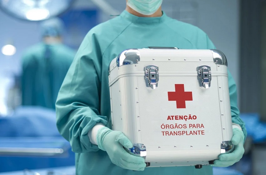 Órgãos transplantados (Divulgação)