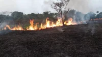 PF deflagra operação no Acre contra desmatamento em 950 hectares