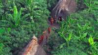 STF discute proteção a indígenas isolados e de recente contato