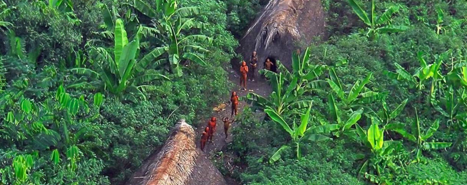 Imagem aérea de indígenas Kawahiva (Reprodução/Funai)