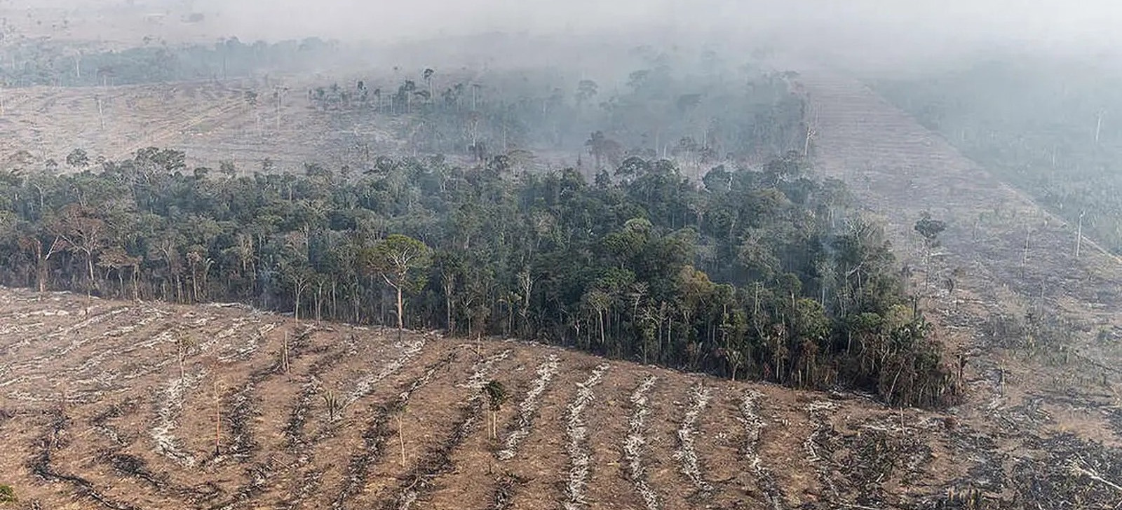 Área desmatada na Amazônia brasileira (Agência Brasil) 