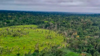 Brasil vê risco de Amazônia ser considerada região de alto desmate pela UE