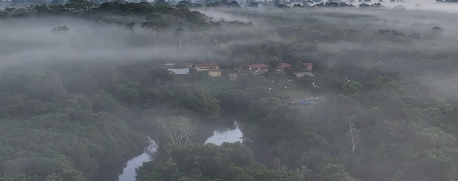 Vista aérea de região alvo de pesquisa na Amazônia (Reprodução/Amazônia Revelada)