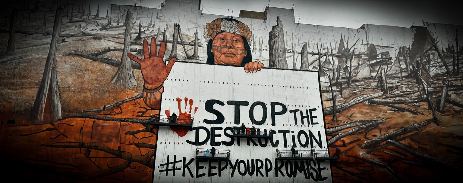 Indígena do Pará é destaque em mural de São Paulo