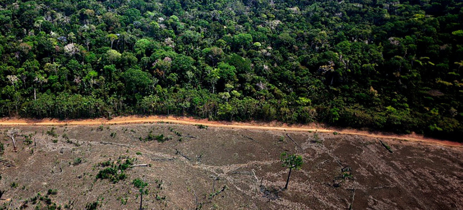 Degradação da Amazônia tem aumento de 1.402% em setembro de 2024