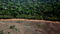 Degradação da Amazônia tem aumento de 1.402% em setembro de 2024