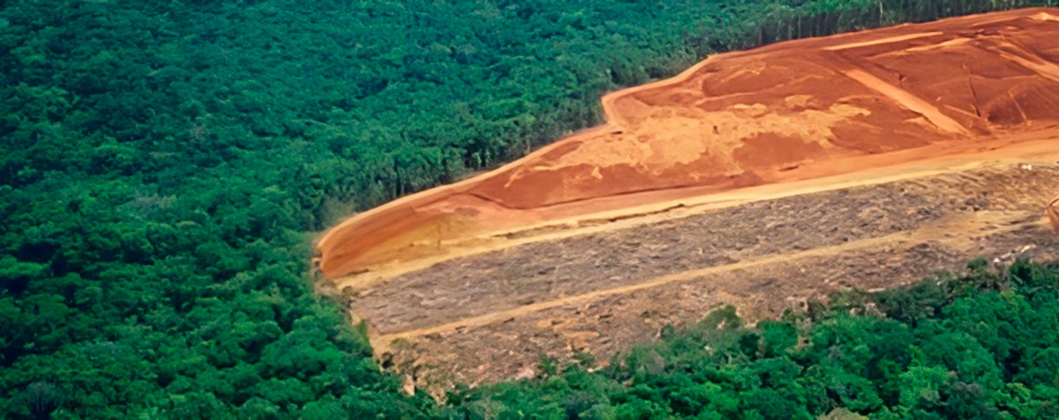 Pará tem 57% áreas de floresta degradadas na Amazônia em setembro