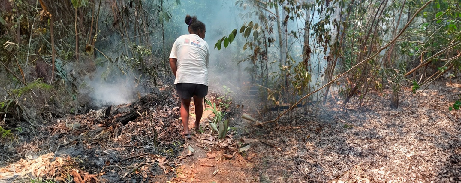 Terra Indígena Anambé queima há mais de uma semana no Pará