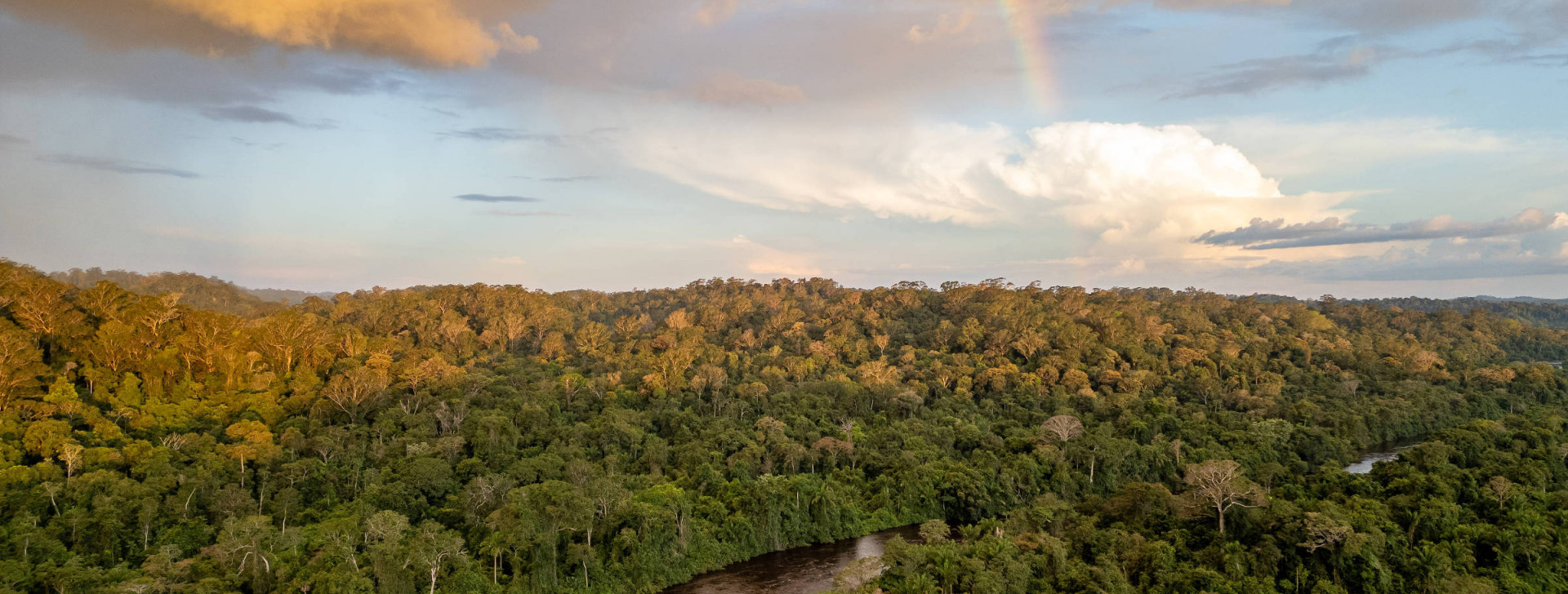 Novo parque dedicado a proteger árvores gigantes fica na margem direita do rio Jari, que faz divisa entre os estados do Pará e Amapá (Fernando Sette / Divulgação_)