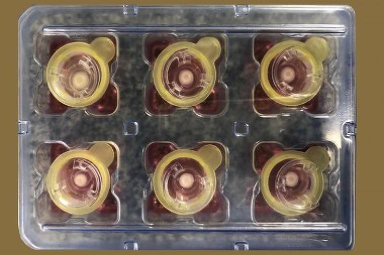 Brasileiros criam pele artificial 3D mais fiel à textura humana