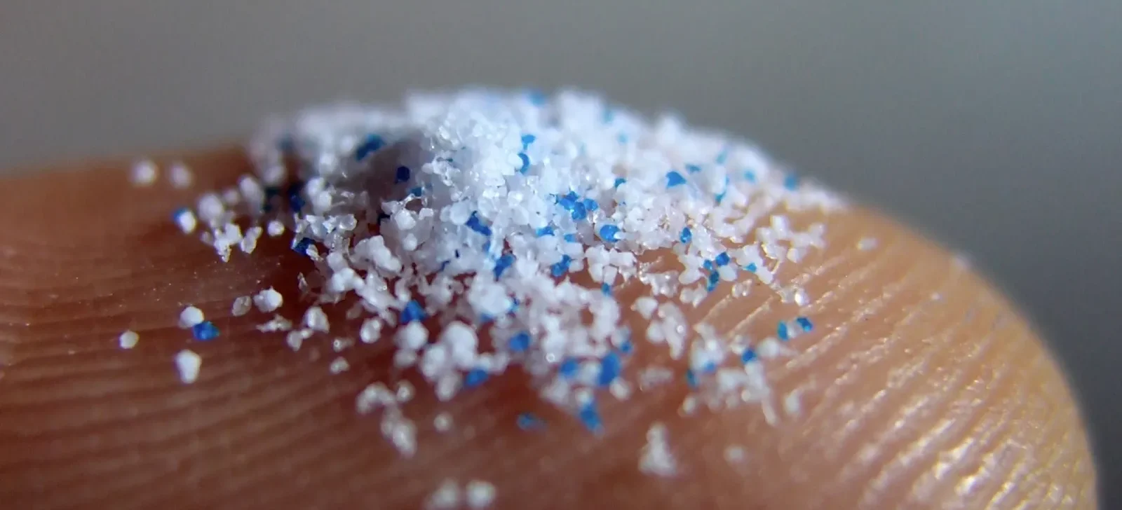 Presença de plásticos e microplásticos na Amazônia é tema de debate