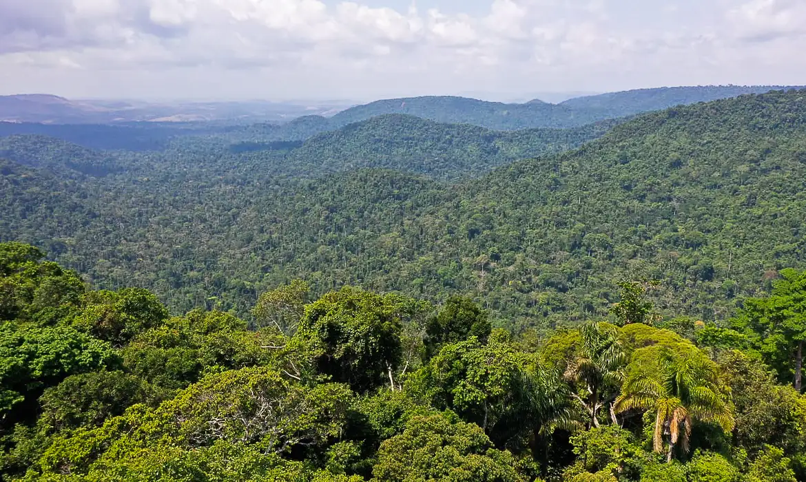 Imagem da Floresta Amazônica vista por cima  (TV Brasil)