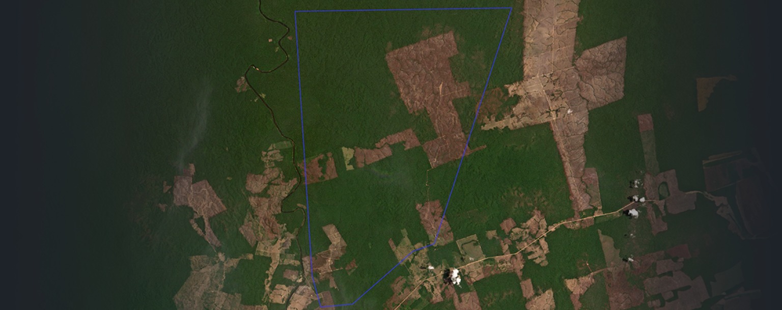 PF investiga grupo por desmatamento e queimadas ilegais na Amazônia