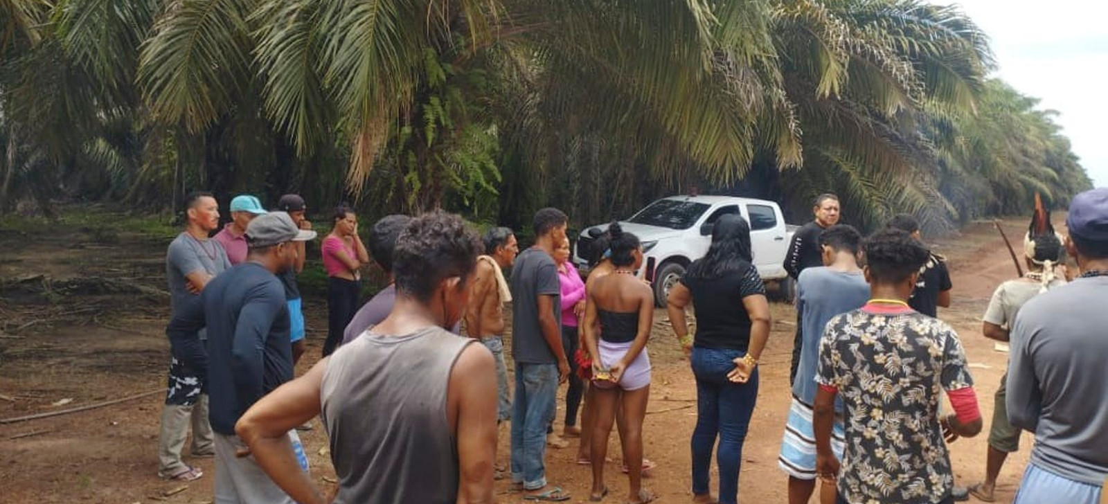 MPF pede suspensão de despejo de indígenas Turiwara no Pará