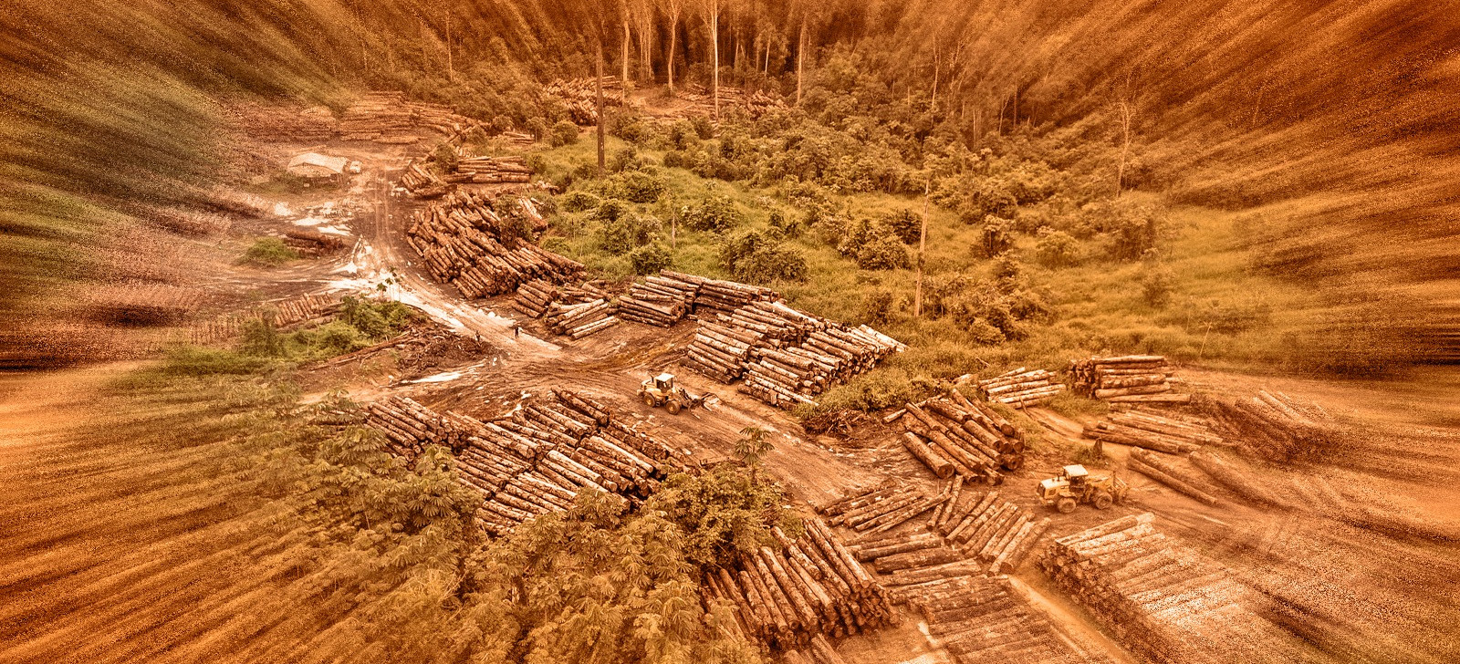 Desmatamento na Amazônia cai 30,6%; Rondônia lidera redução