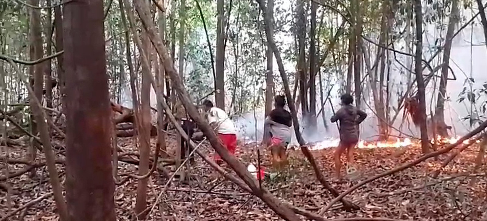No Pará, indígenas do Alto Rio Guamá pedem ajuda contra incêndios