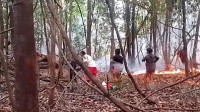 No Pará, indígenas do Alto Rio Guamá pedem ajuda contra incêndios
