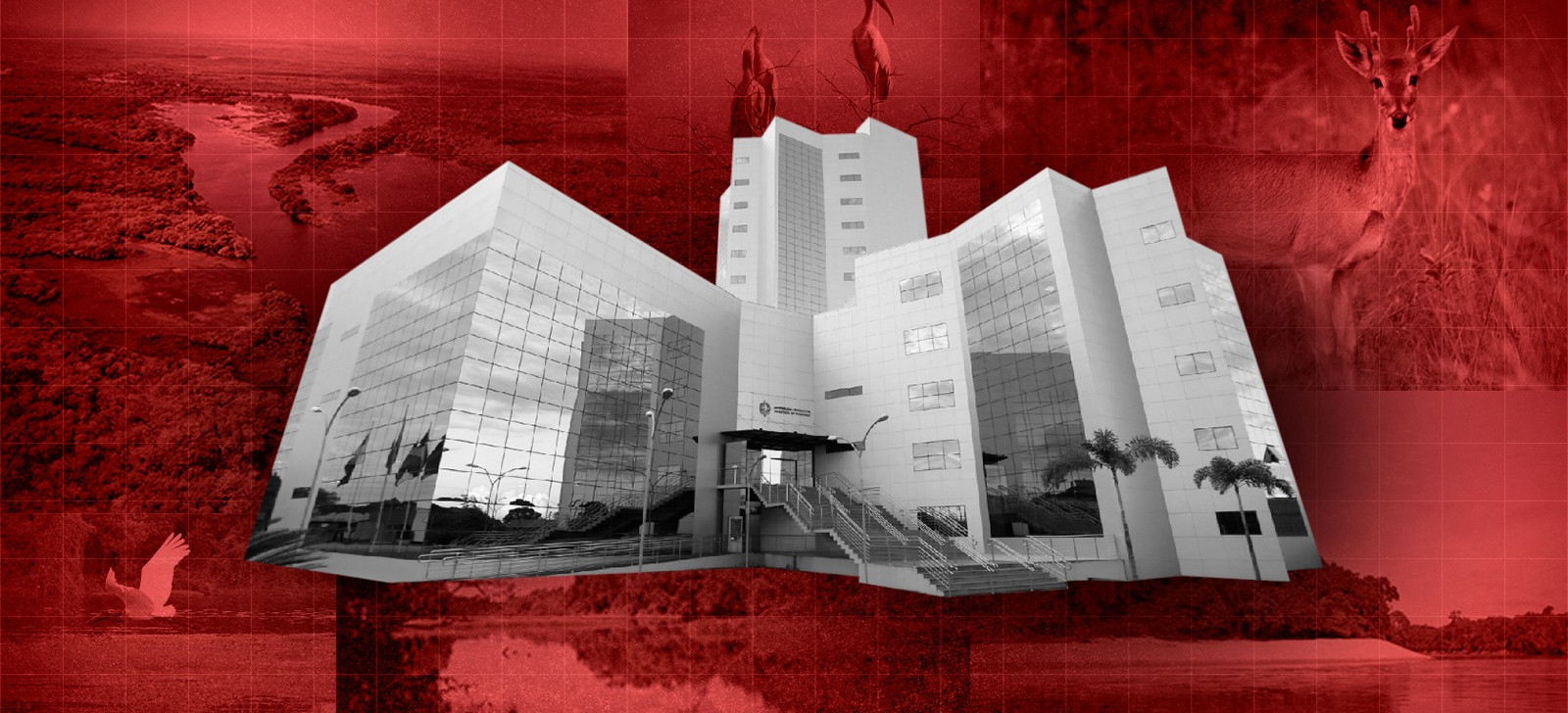 Em Rondônia, CPI investiga irregularidades na criação de unidades de conservação