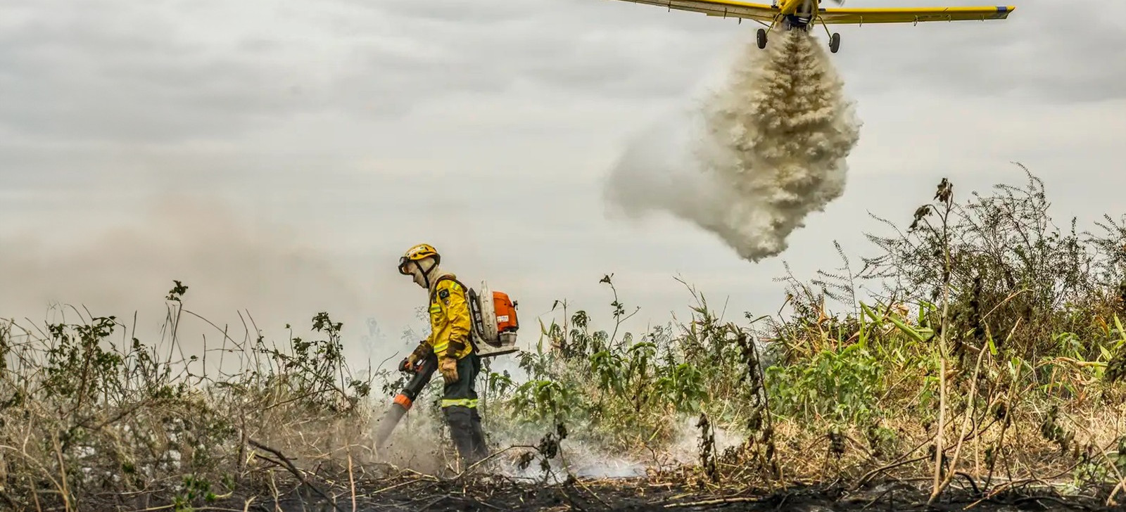 Redução da área alagada no Pantanal favorece aumento de incêndios