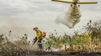 Redução da área alagada no Pantanal favorece aumento de incêndios
