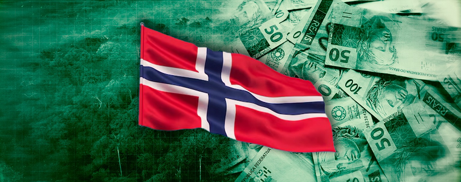 Noruega doa R$ 348 milhões ao Fundo Amazônia por queda no desmatamento