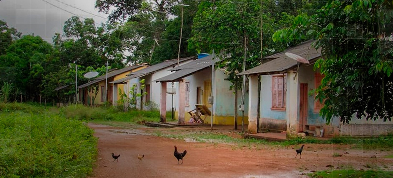 MPF cobra do Ibama ações contra contaminação por agrotóxico em comunidade de Porto Velho