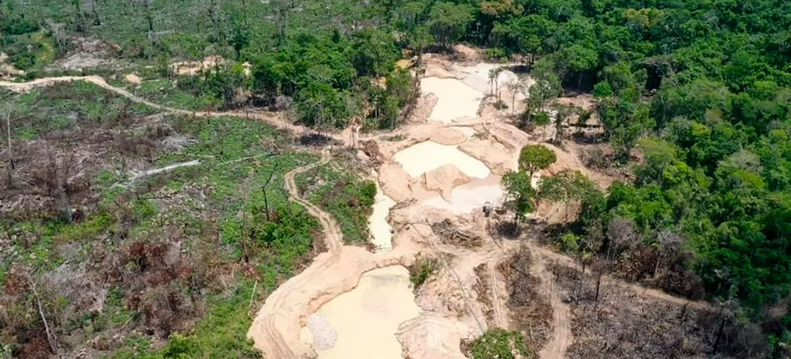 Pará: Créditos de carbono e desafios técnicos marcam restauração do Xingu