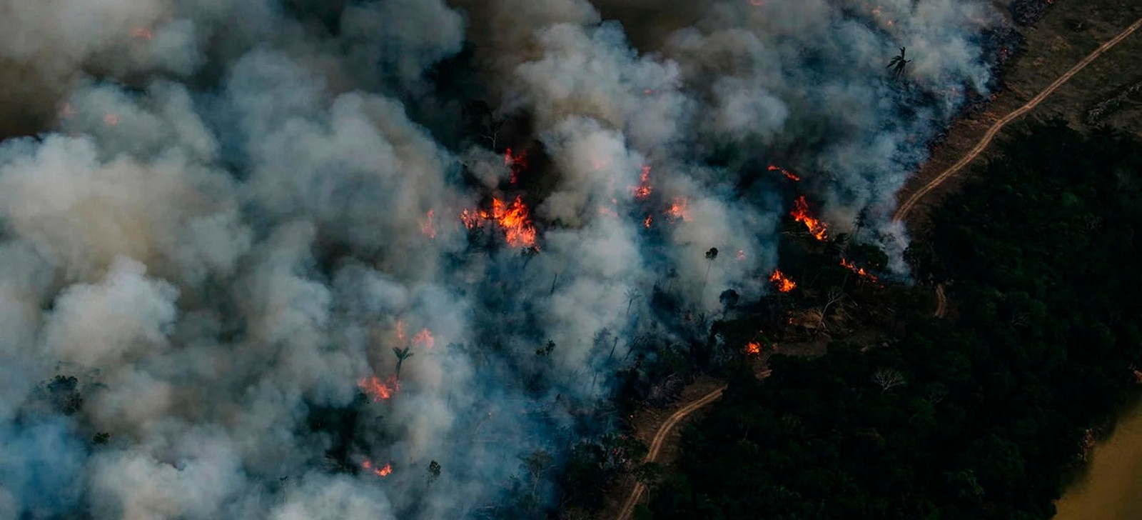 Área queimando na Amazônia (Christian Braga/Greenpeace)