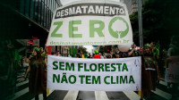 Conferência sobre meio ambiente terá participação popular on-line