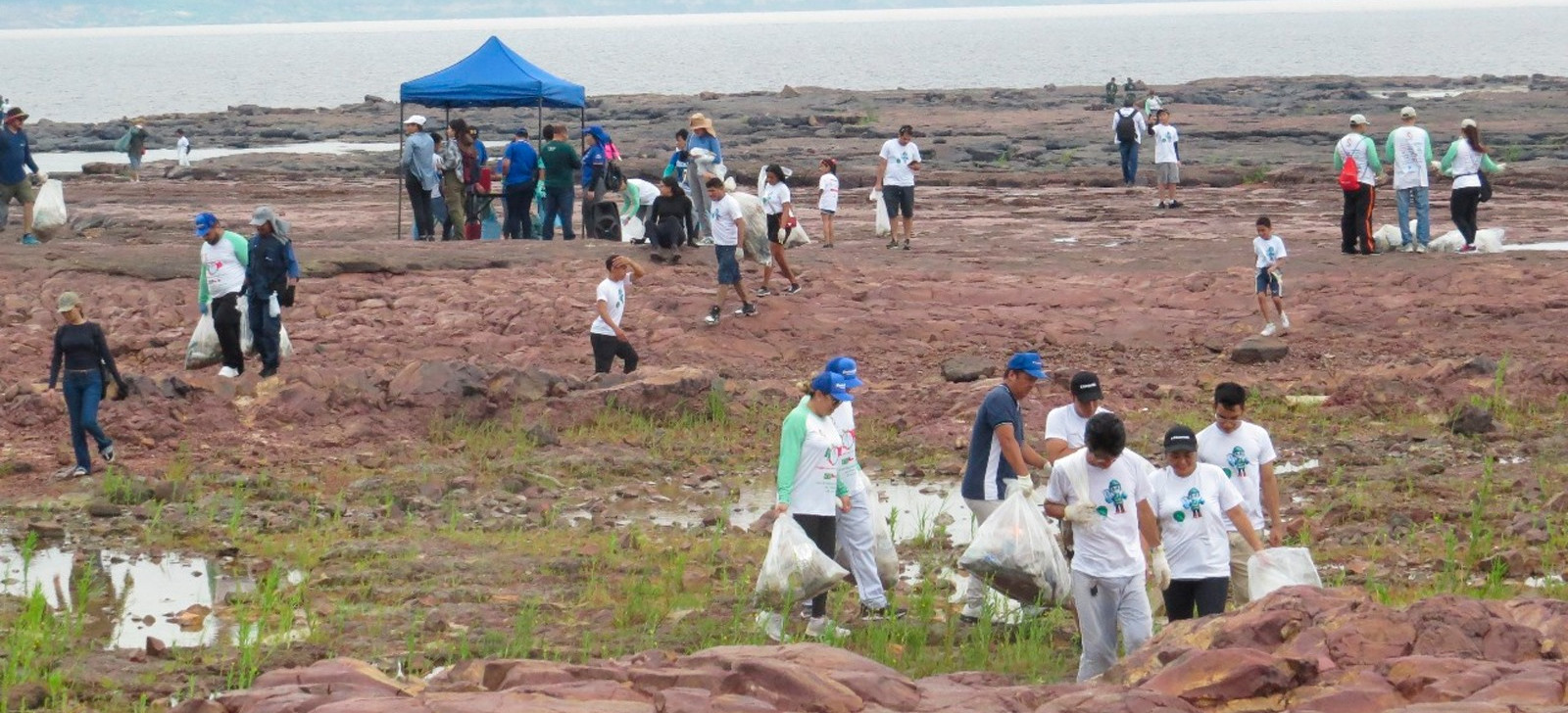 Voluntários recolhem 2,5 toneladas de lixo de sítio arqueológico no AM