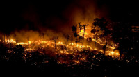 Queimadas devastaram 30 milhões de hectares no Brasil em 2024