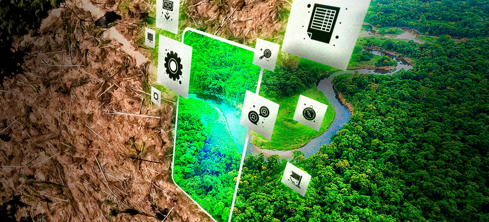 Estudo avalia modelos de negócios viáveis para restauração na Amazônia