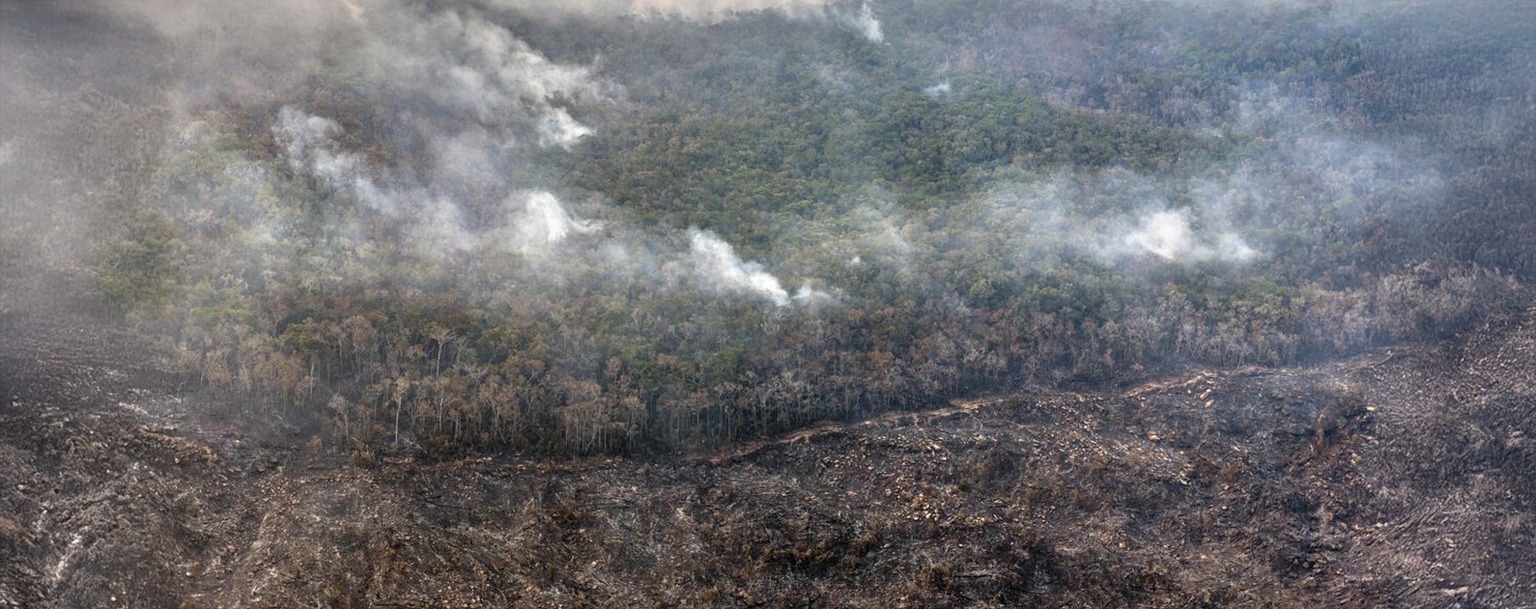 Área da Amazônia é atingida por incêndio florestal (Greenpeace)