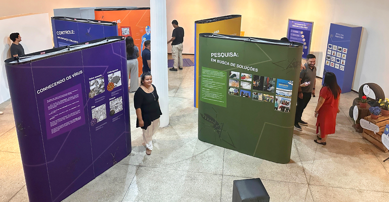 Inpa e Fiocruz lançam exposição inédita sobre mosquitos da dengue e malária