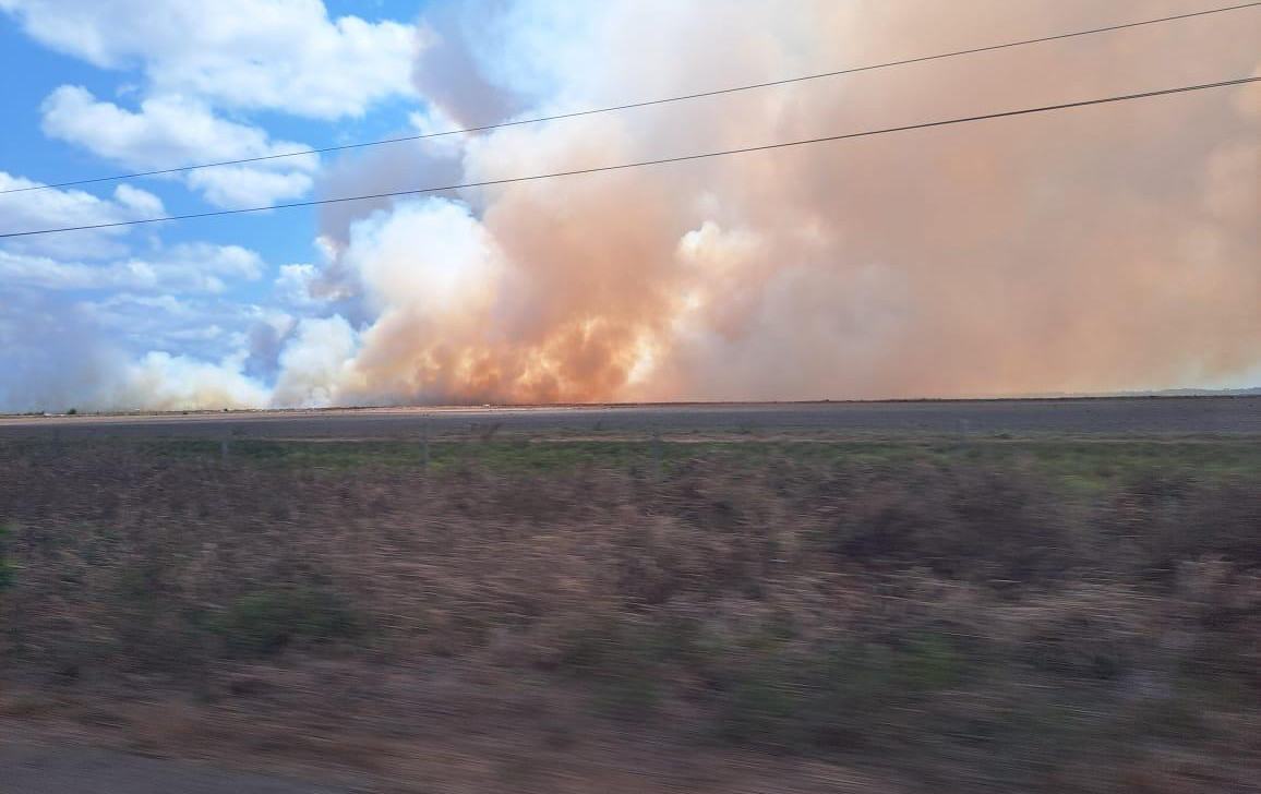 MP do Pará investiga queimadas no Marajó e cobra ações efetivas