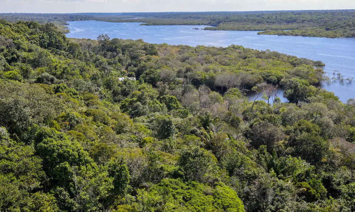 Conflito por território é principal gerador de violência na Amazônia (Fabio Rodrigues-Pozzebom/Agência Brasil)